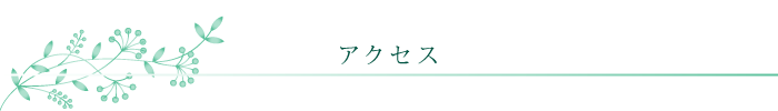 access